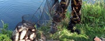 Жителю Одещини, який незаконно виловив 44 рибини, суд призначив штраф у 127 тис грн